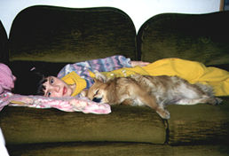 Image Number Four